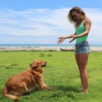 Gwendolyn Groeneveld