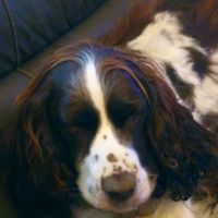 Christine Latrille-Bénard