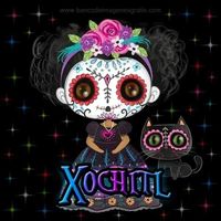 Xoch Katzen