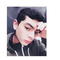 Michael Orellana Martins