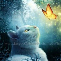 Nuria Morote Cervantes