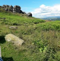 Elaine Watson