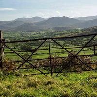 Roisin Patricìa Gaffney