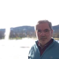 Antonio Duarte Henriques Lopes