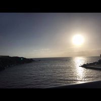 Susanne Schintler-Würmli