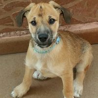 Luis Encuentra Lopez