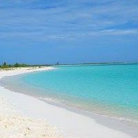 Amparo Romero Calero