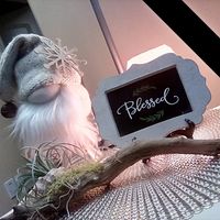 Laurie Benson-Mccallum