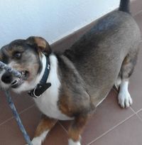 Miguel Parrilla Valdes