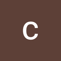 cusions forever