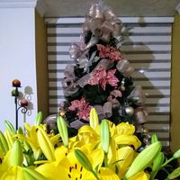 Jorge Alberto Castro López