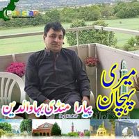Faisal Masood Sahi