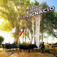 Marcelo Saavedra Navarrete