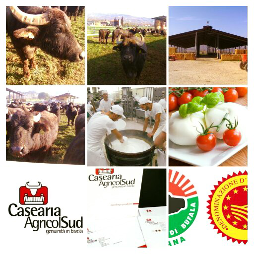 CASEARIA AGRICOL SUD SRL