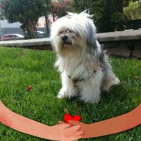 Jose Luis Sanchez Garcia