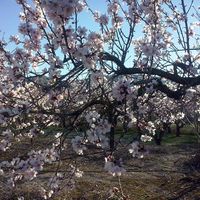 Mari Carmen Suarez Fernandez