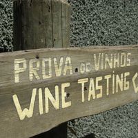 Tiziano Stefano Furrer