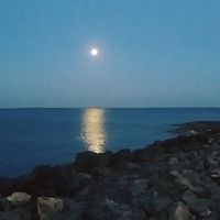 Francisco Lorenzo Coca